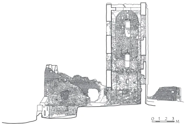 Figura 1. Roma, Casale dei Gallicano (detto anche Torraccia o Casale di Sant’Eusebio), sezione (rilievo di G
