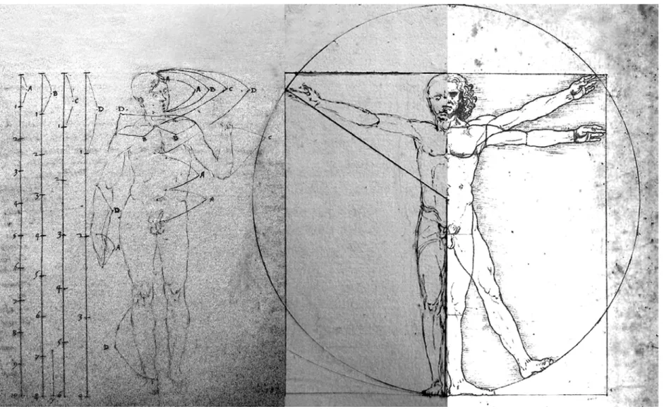 Fig. 6 Confronto tra gli uomini ideali di Giacomo Andrea e di Leonardo. (Elaborazione grafica di  Matthew Edward).