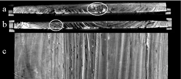 Fig. 17. a) - b) Slice tomografiche che mostrano la presenza di fori e gallerie provocati da un passato attacco di insetti xilofagi;  c) Sezione frontale della tavola ad  una profondità di circa 1.5 cm dalla superficie pittorica