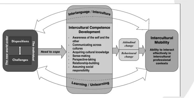 Figura 1: El desarrollo de la competencia intercultural (Glaser et al., 2007,  p.19)  