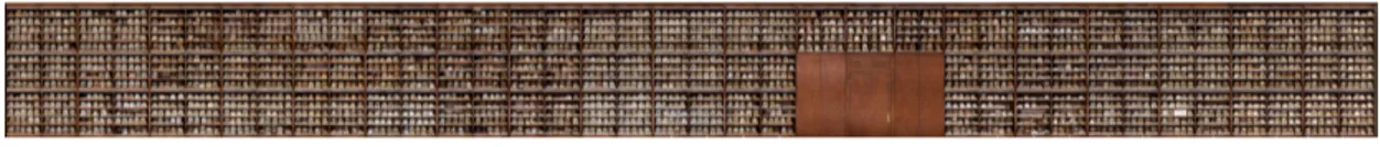 Figure 1. The Skull Cabinet Panorama, full length (30x3 meters), skulls blurred. Photograph © Tal Adler HH: And what came out of that?