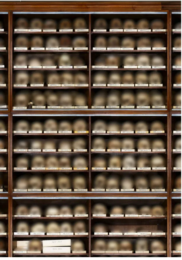 Figure 3. The Skull Cabinet Panorama, detail, skulls blurred. Photograph © Tal Adler.