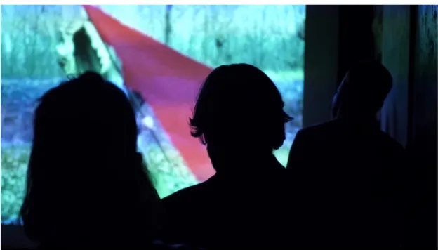 Figura 7. Fotografia dell’installazione di La Bandiera (8mm, 1970) di Sirio Luginbühl: viene evidenziato lo spazio immersivo che avvolge i visitatori, scelta curatoriale permessa dalla versatilità della rimedizione digitale