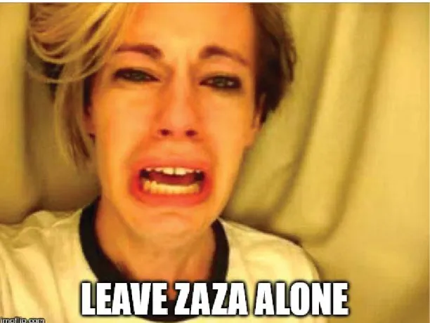 Fig. 2 | Leave Zaza alone!