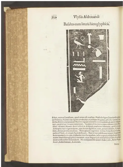 Fig. 10 Basaltes cum litteris ieroglyphicis, Ulisse Aldrovandi, Musaeum metalli-