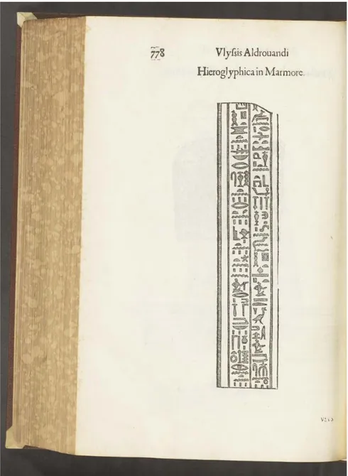 Fig. 11 Hieroglyphica in Marmore, Ulisse Aldrovandi, Museum Metallicum,  cit., lib. IV, p