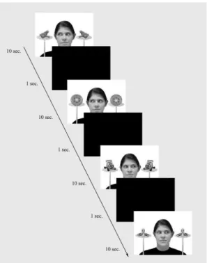 Figure  1.  Stimuli  adapted  with  permission  from  Hoehl  and  colleagues, showing lateral adult gaze toward  the gaze  target  (GT) and away from an identical object, the non-gaze target  (NGT), on the left and right of the screen