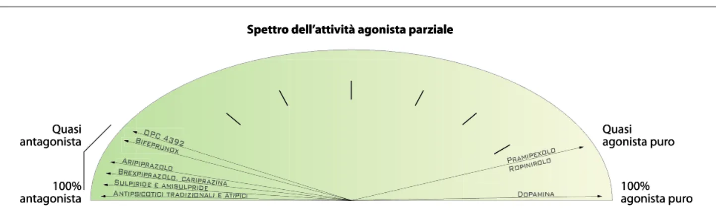 Figura 1. Spettro dell’attività agonista parziale. Modificata da: Stahl 6 . 