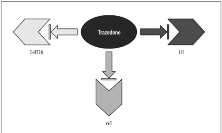 Figura 1. Meccanismo d’azione di trazodone sul sonno. Aumentando la dose di trazodone al di là di saturazione di recettori 5-HT2A si  re-clutano altre azioni farmacologiche, blocco dei recettori α1  adrener-gici e recettori istaminici H1.