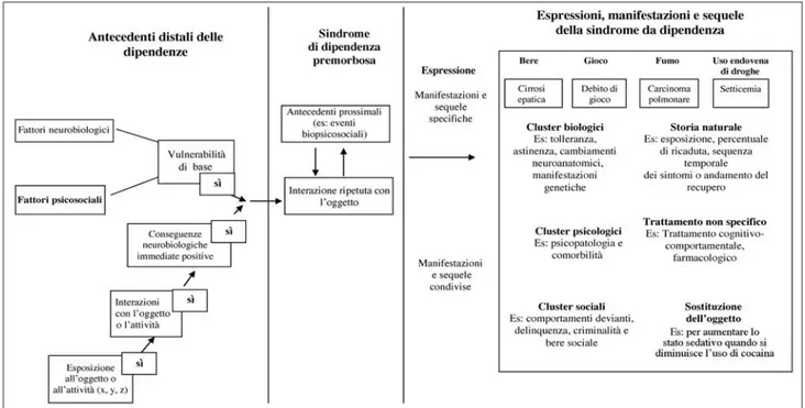 Figura 4. Modello sindromico della dipendenza.