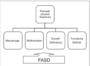 Figure 1. Spectrum of consequences of fetal alcohol exposure.