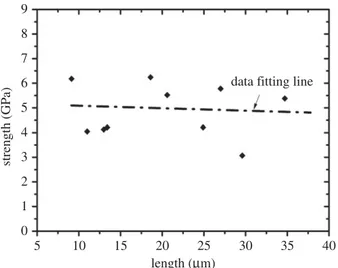 Figure 6. Plot of the tensile strength of limpet tooth material with varying sample length