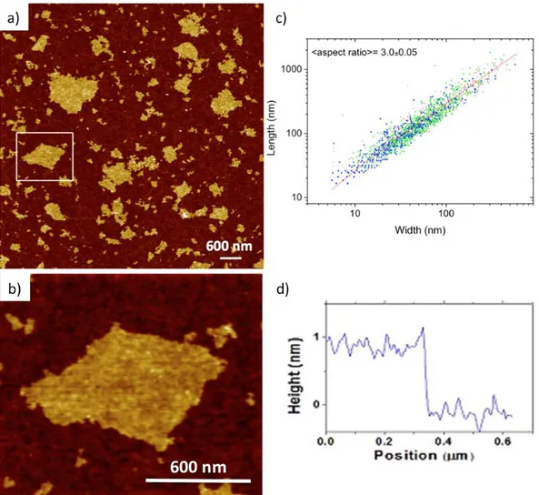 Figure 2.  a,b) AFM image of GO sheets spin coated on silicon. c) Statistical analysis  of the length/width ratio of the GO sheets, in log-log scale