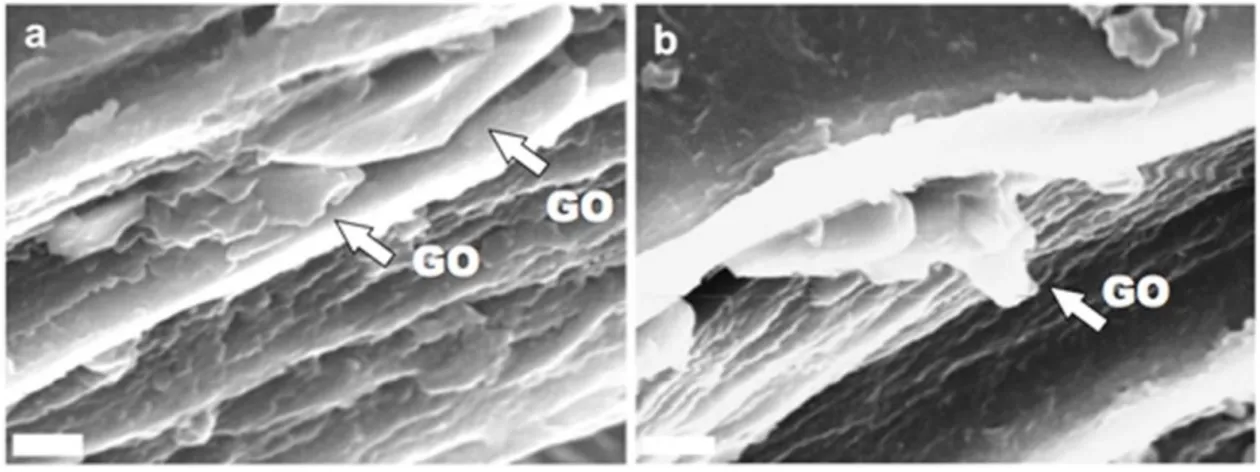 Figure  4.  a,b)  Scanning  electron  microscopy  of  F-0.5  fractured  surface:  the  arrows  indicate the GO platelets which appear embedded in between the layers of gelatin