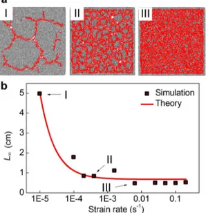 Figure 4 | Illustration of the rate-dependent geometry under biaxial tensile deformation