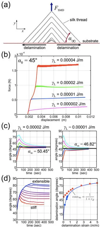 Figure 2: Summary of peeling simulations. (a), Silk model for two-branched peeling simulations in  with prescribed adhesion energy,  L , and attachment angle,  α 0 