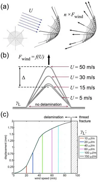 Figure 3: Summary of wind load simulations. (a), Derivation of equivalent anchorage forces  derived by constant drag force resisted by an idealized model web