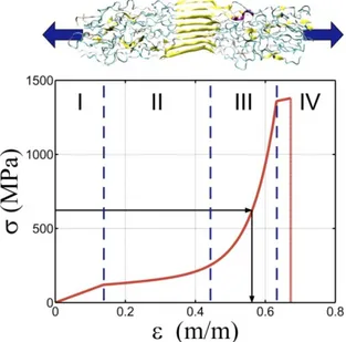 Figure S1: Derived constitutive behavior parameterized from full atomistic simulations of dragline spider silk  and validated against experimentally measured behaviors  [19] 