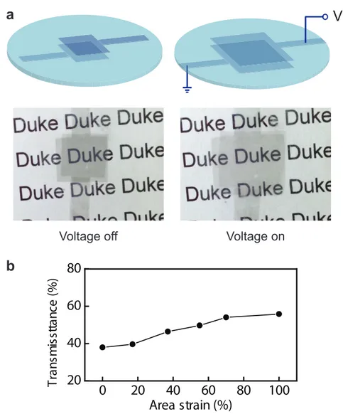 Fig  4.  Voltage-induced  actuation  of  a  crumpled  graphene-elastomer  laminate.  a,  As  a  voltage  is  applied,  the  laminate  reduces  its  thickness  and  expands  its  area