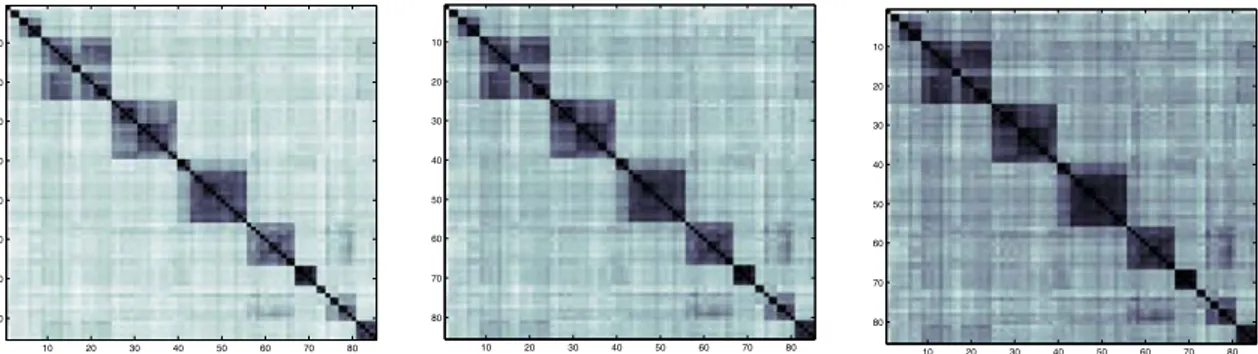 Figure 1 shows the 85-by-85 pairwise distance matrices produced using D 1 , D 2  and D 3  presented in 