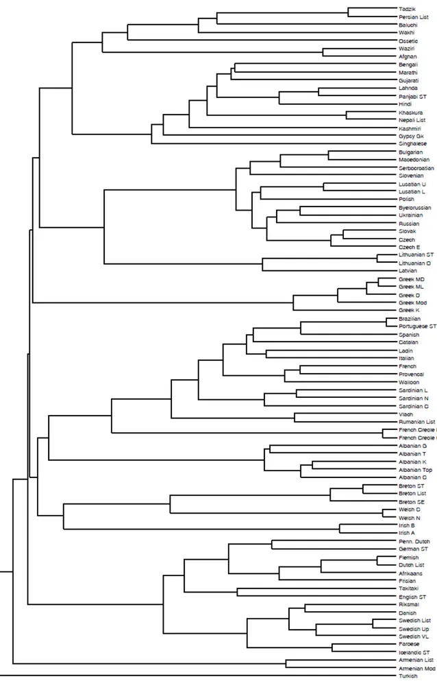 Figure 2 – Indo-European phylogenetic tree produced by UPGMA 