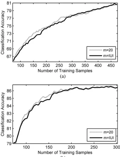 Fig. 7.  Overall classification accuracy versus the number of training samples obtained by the MCLU-ABD  with respect to different m values for (a) Trento, and (b) Pavia data sets 