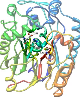Figure 1: Active site of L-arginine:glycine amidinotransferase (1jdw).
