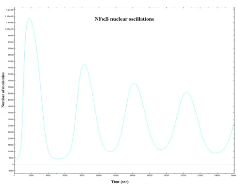 Figure 4.1: NF-κB oscillations in the nucleus