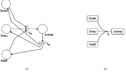 Figure 13: Comparison of original SPN and simplified models for the species and one hyperarc for the two reactions, whereas the original SPN one has 4 places, two transitions and eight direct arcs.