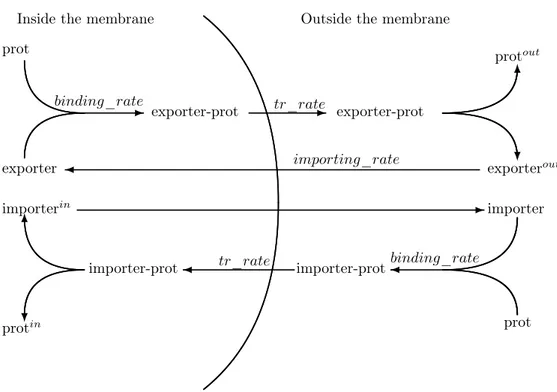 Figure 9: The schematic behaviour of the importing and exporting mechansims.
