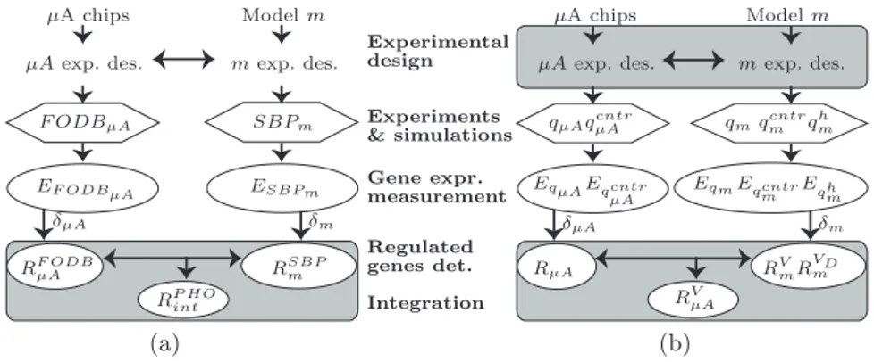 Fig. 4: These schemes highlight the modules interested by the application for removing the genes regulated in the in silico predictions (a) and by the application for removing the genes regulated by the non controlled variables (b).