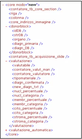 Figure 6 – XML extract: single spot description data and staining  evaluation data. 