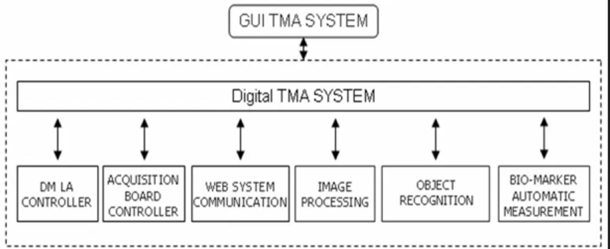 Figure 12 - TMA slide automatic acquisition: from panoramic over- over-view detection to single spot automatic evaluation