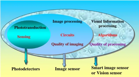 Figure 1.6: Conceptual block diagram of a vision sensor Image processing  Circuits Quality of imaging  Visual Information processing Algorithms  Quality of processing 