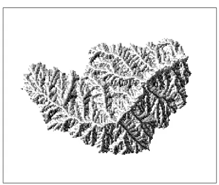 Figure 4.2: Example of drainage direction map for the Little Washita basin, OK, USA.