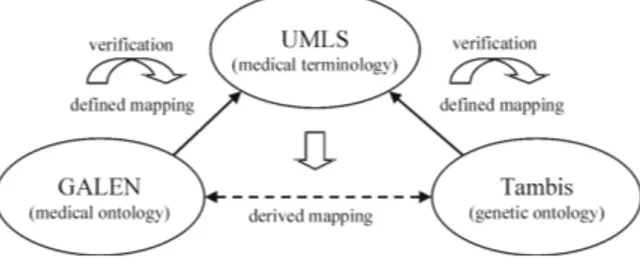 Figure 1: Indirect Alignment of Tambis and GALEN using UMLS