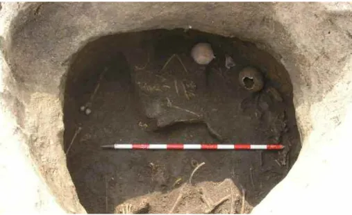 Figura 4. Restos óseos articulados de animales y humanos en el silo 9182 de El Pelícano.