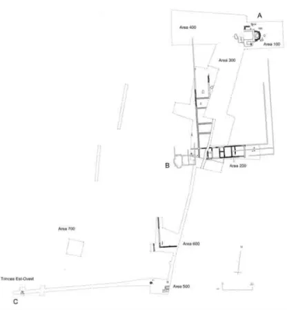 Fig. 9: Desana, pianta della villa tardoantica (da: Negro Ponzi Mancini, Continuità e discontinuità cit., fig