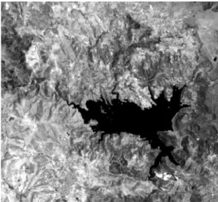 Fig. 1. Bands 5 of the Landsat-5 TM images utilized for the experiments: (a) image acquired in  September 1995; (b) image acquired in July 1996.