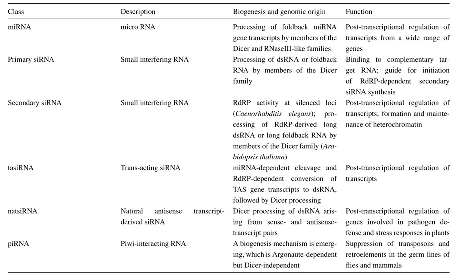 Table 1.1: Classes of small RNA identified in eukaryotes (from [4]).