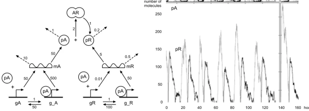 Figure 5: Reaction scheme and simulation results of noise-resistant circadian clock of [16]