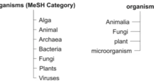 Fig. 1. Parts of MESH and CRISP conceptual hierarchies