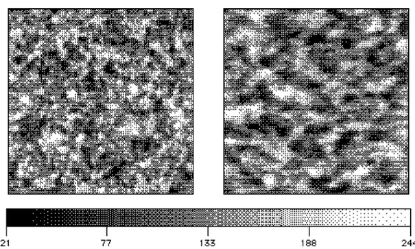 Fig. 10.1 Realizzazioni di un processo a media mobile di media 128 e deviazione standard 30, ottenute con il metodo delle medie mobili pesate, su di un grigliato 100 × 100 utilizzando i filtri introdotti, rispettivamente, in Tab