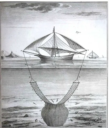 Fig. 1 – H.-L. Duhamel du Monceau, Traité Général des Peches, et Histoire des Poissons, Partie I  (1769), Section II, Chap