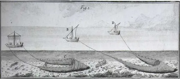 Fig. 2 – H.-L. Duhamel du Monceau, Traité Général des Peches, et Histoire des Poissons, Partie I  (1769), Section II, Chap