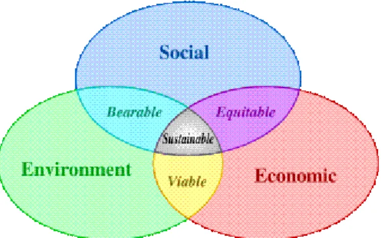 Figura 1.2. Schema sviluppo sostenibile (Fonte: Onu Italia). 