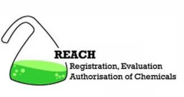 Figura 2.6. Logo REACH. 