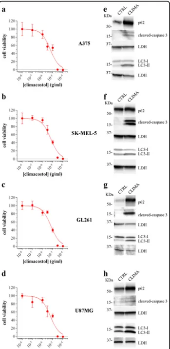 Fig. 5 Climacostol effects in multiple tumour cell lines. MTT assay assessing the viability of A375 (a), SK-MEL-5 (b), GL261 (c), and U87MG (d) cells treated with increasing concentrations of climacostol for 24 h