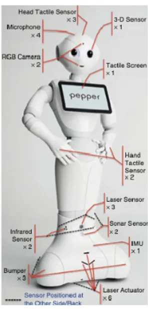 Fig. 1 - Pepper robot 