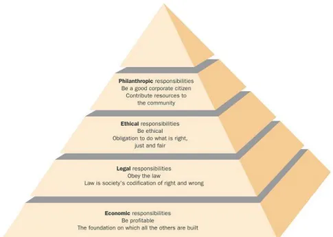 Fig. 2.1: La Piramide di Carroll (1991) 